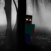 Herobrine (Minecraft Roleplay Horror Movie) 