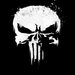 Frank Castle/The Punisher 