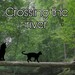 Crossing the river [A Warrior Cats OC Animatic]