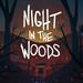Night in the Woods