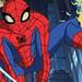 spectacular spider-man (re-dubbed)