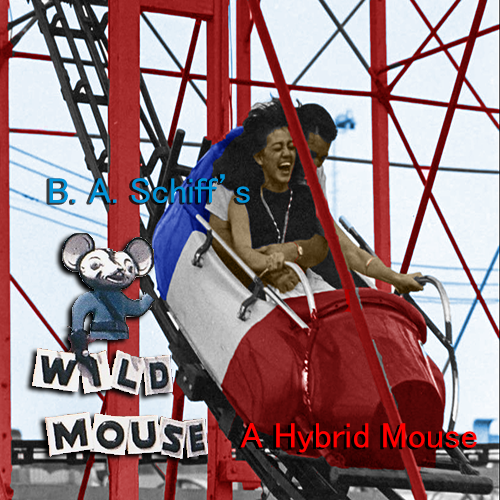B. A. Schiff Wild Mouse: A Hybrid Mouse ... - Casting Call Club